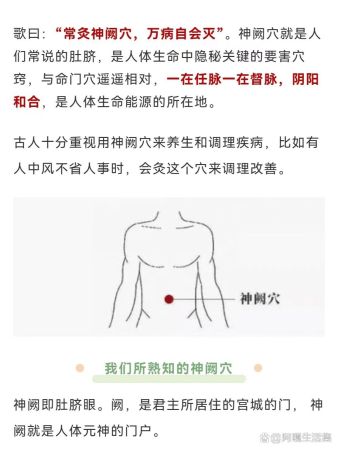 每日一穴——神阙穴