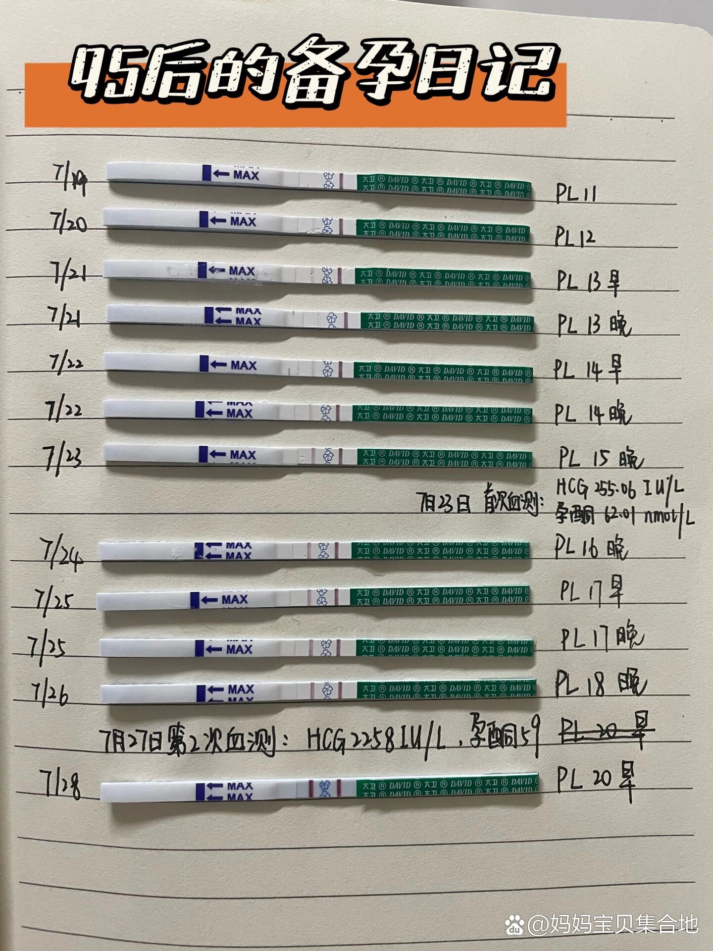 大卫早早孕试纸从无到有的4天变化