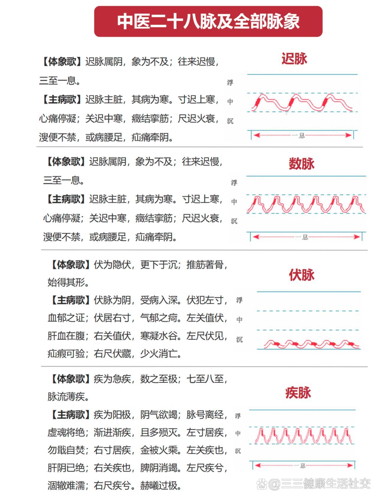 中医二十八脉及全部脉象🔥详细图解