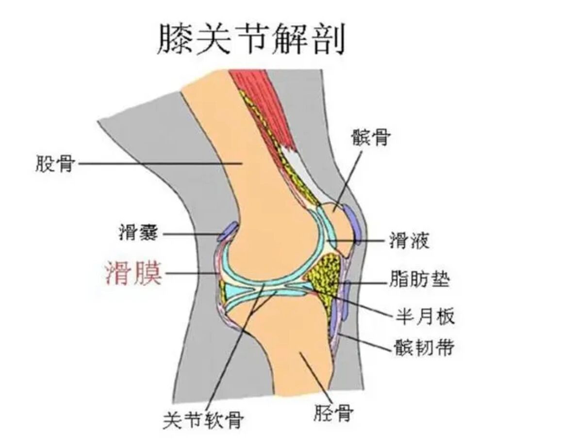 膝关节水肿有积液怎么办?