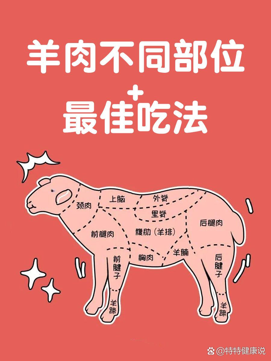 羊肉你会吃么71羊肉各部位图解与做法