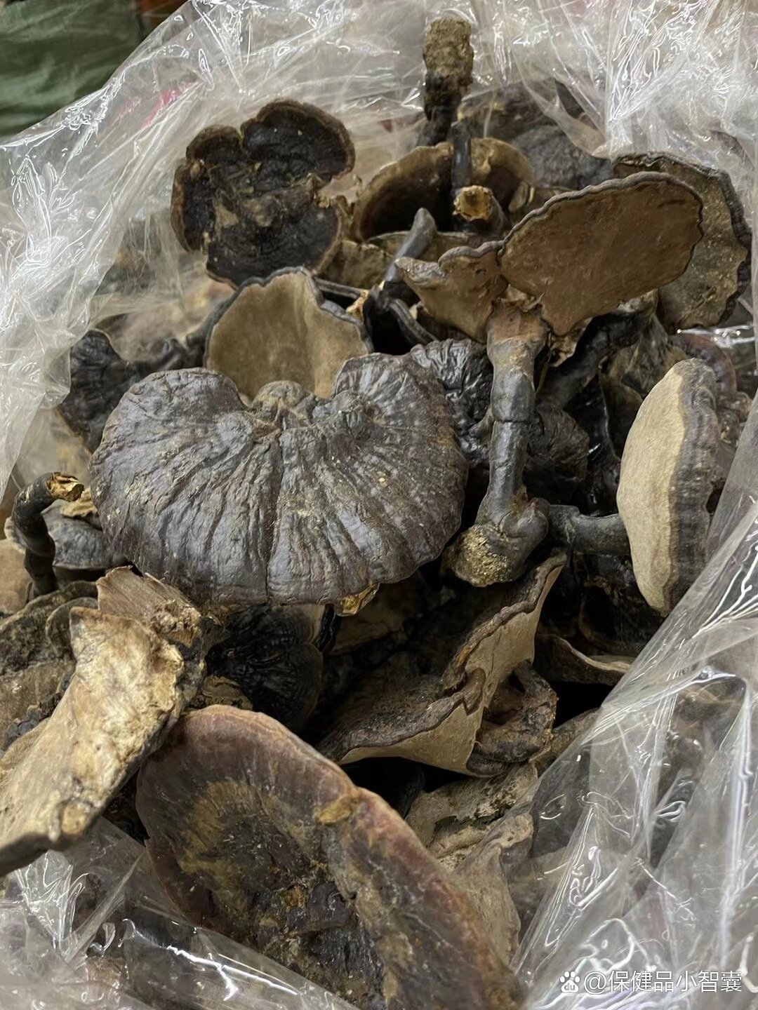 纯野生黑灵芝(又名紫灵芝)推荐6015