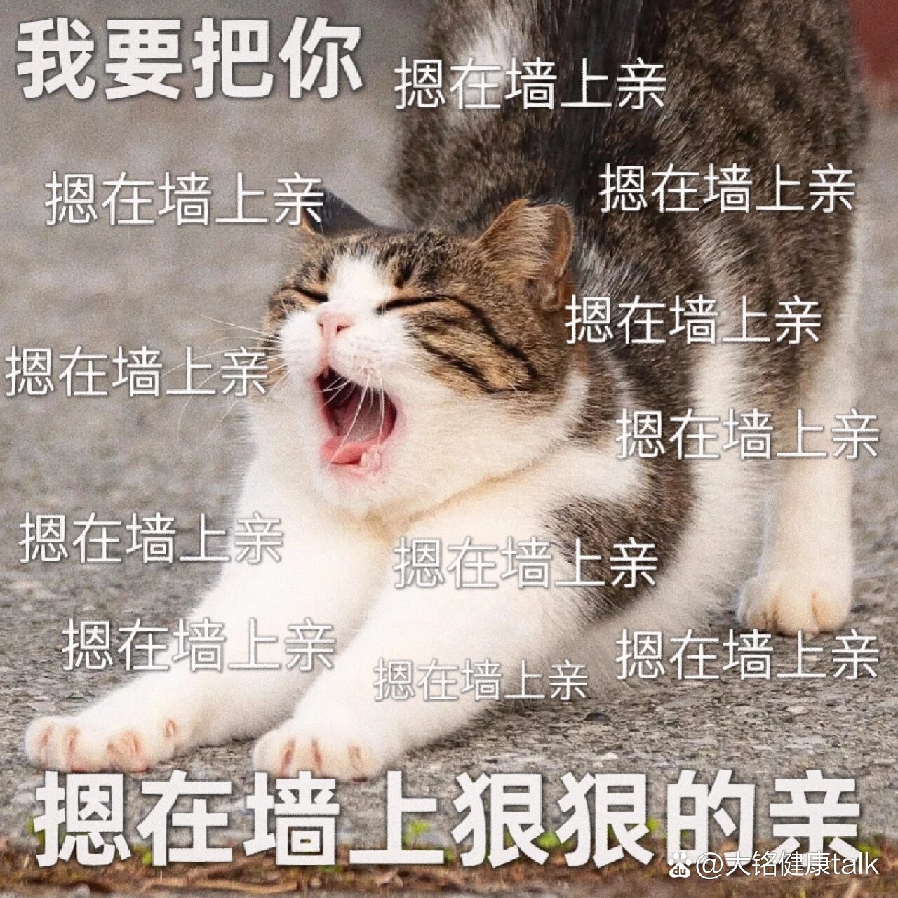 表情包|人家生病了,需要亲热解毒嘻