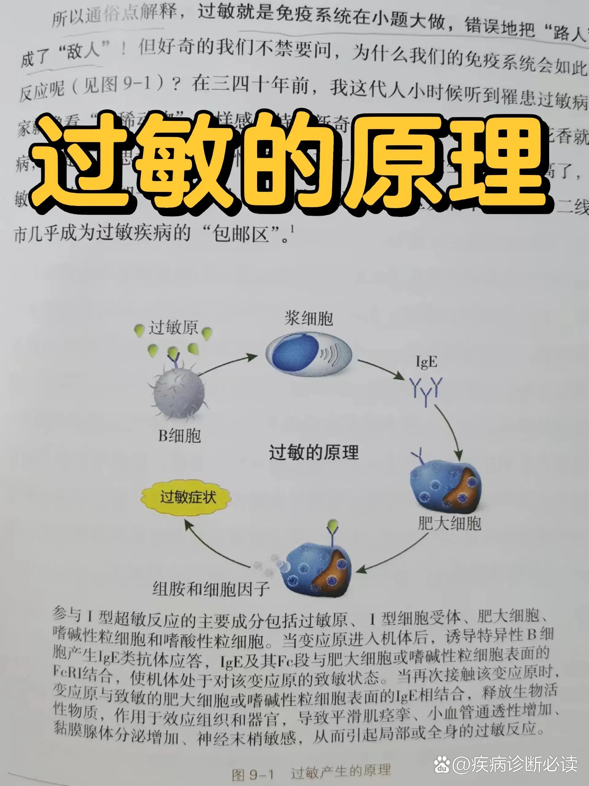 过敏的原理竟然是这样的‼️