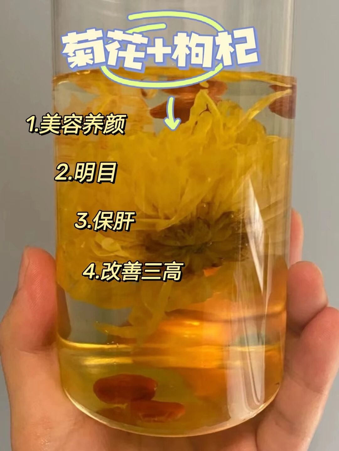 菊花枸杞茶pop图片