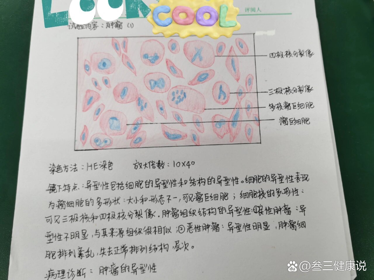 病理学实验报告