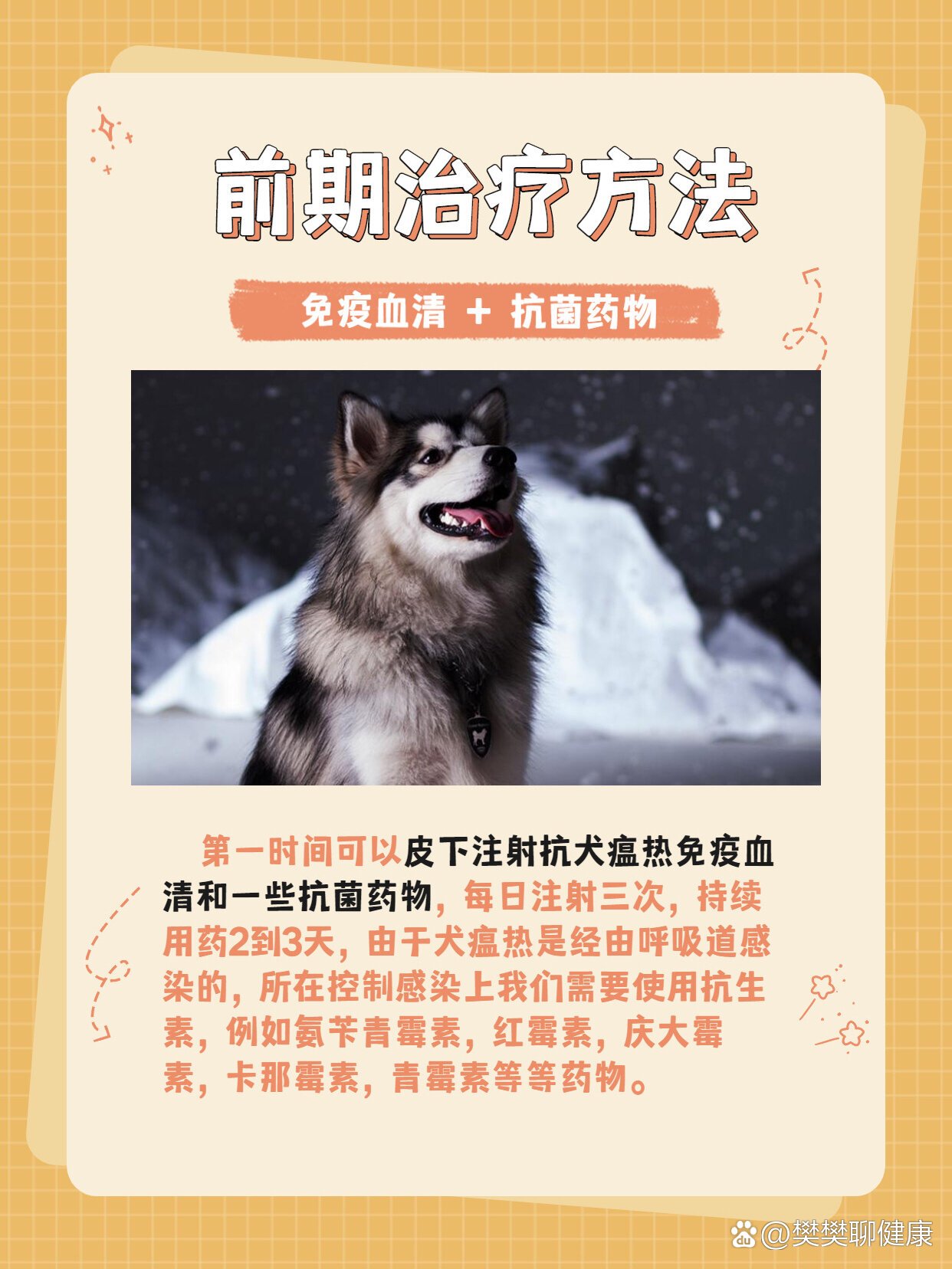 犬瘟热怎么治71
