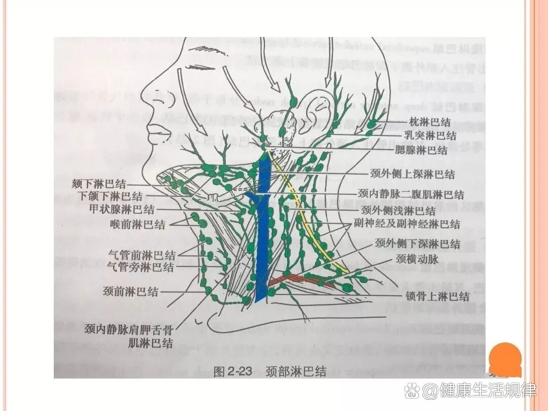 医学笔记