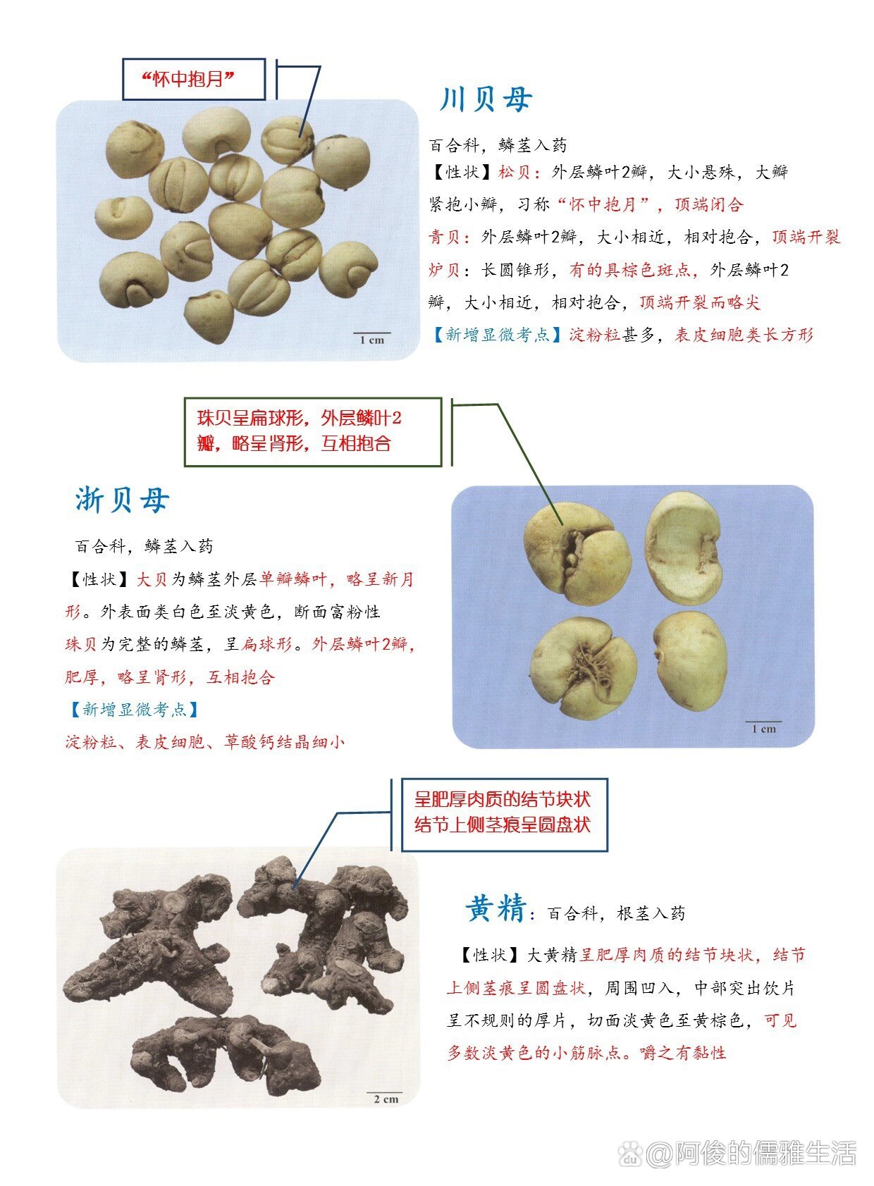 n1337515这些百合科中药饮片的鉴别,你知道?
