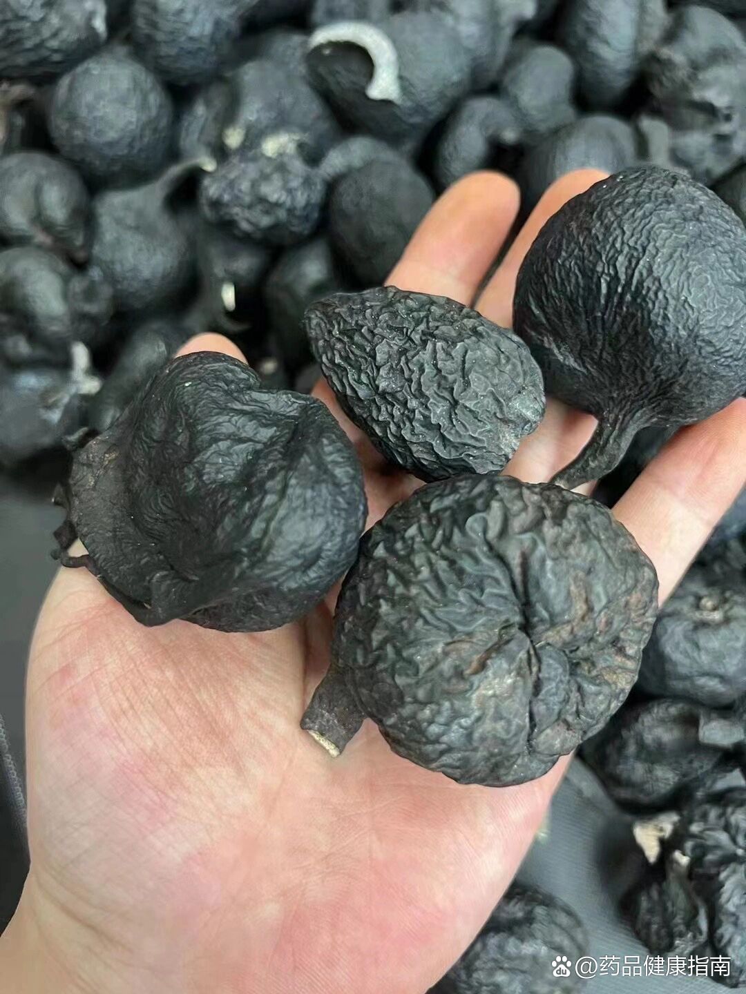 增强可生命力…仙参…超越虫草的功效…而且价格美丽…比虫草都稀少