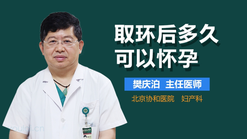 取环后多久可以怀孕