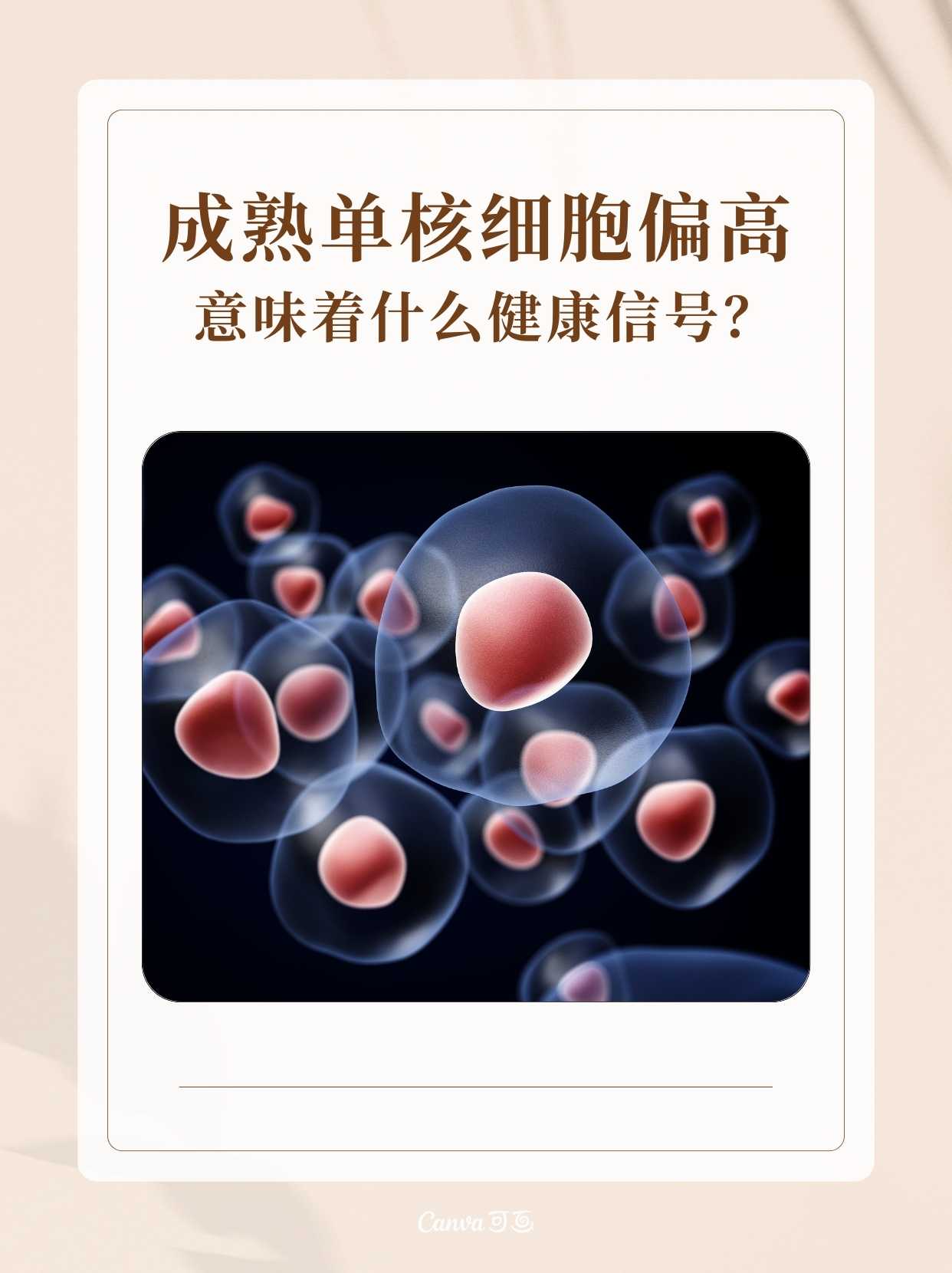 成熟单核细胞偏高,意味着什么健康信号?