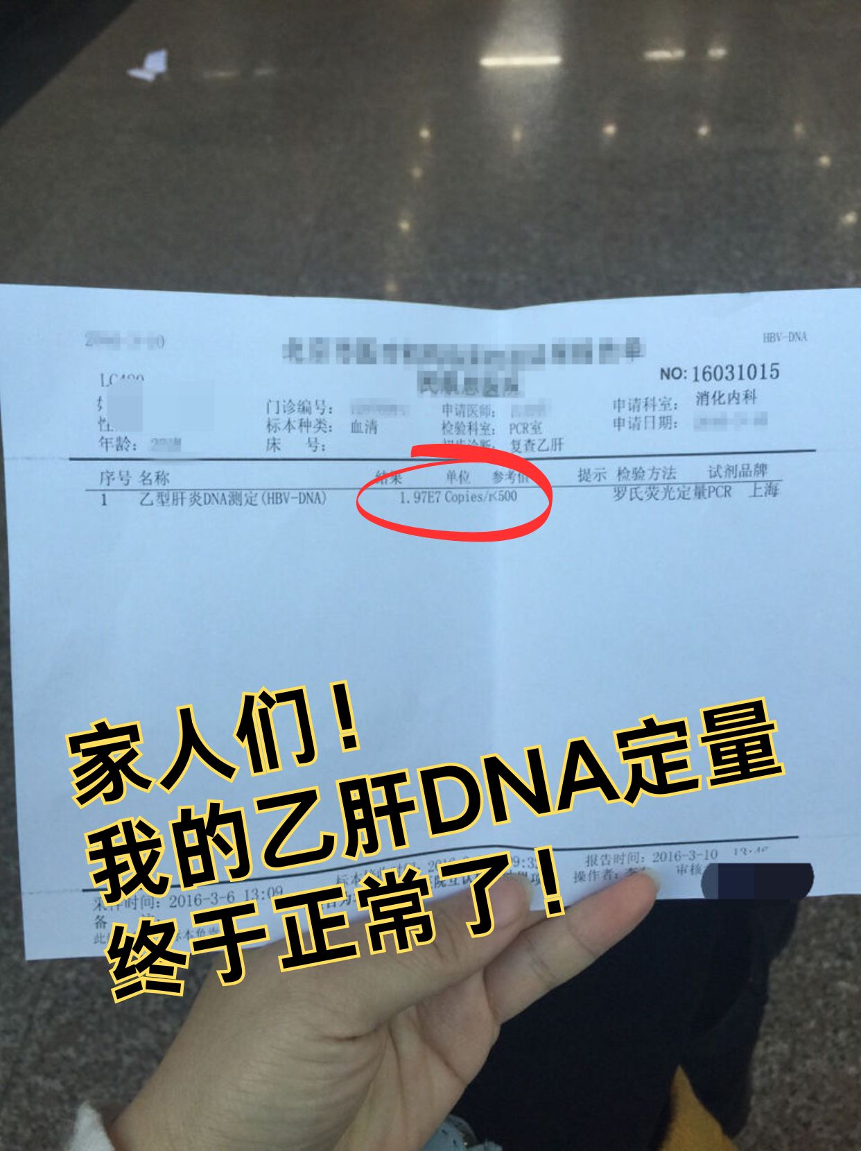 乙肝病毒dna定量图片图片