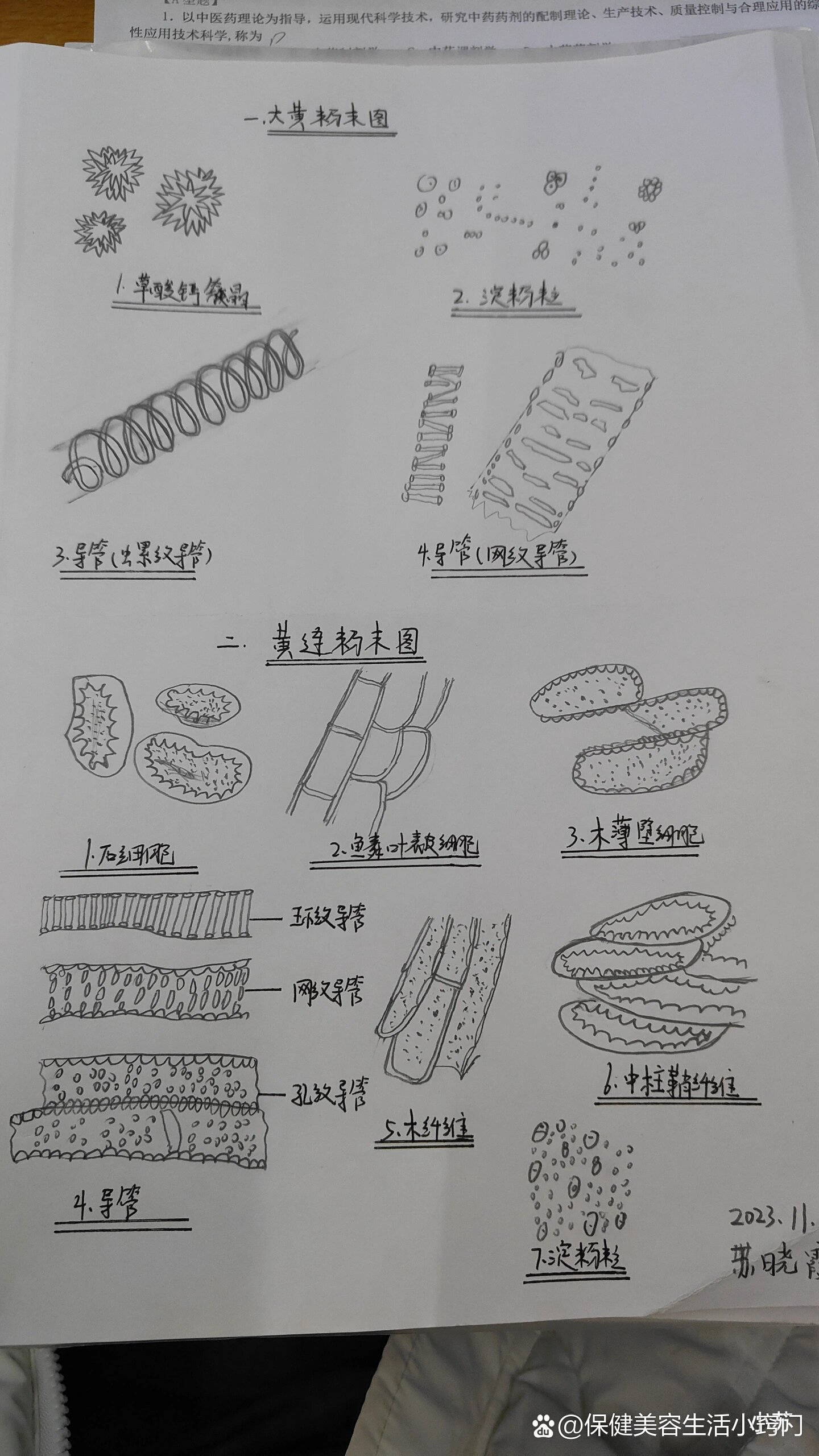 白豆蔻粉末显微图图片