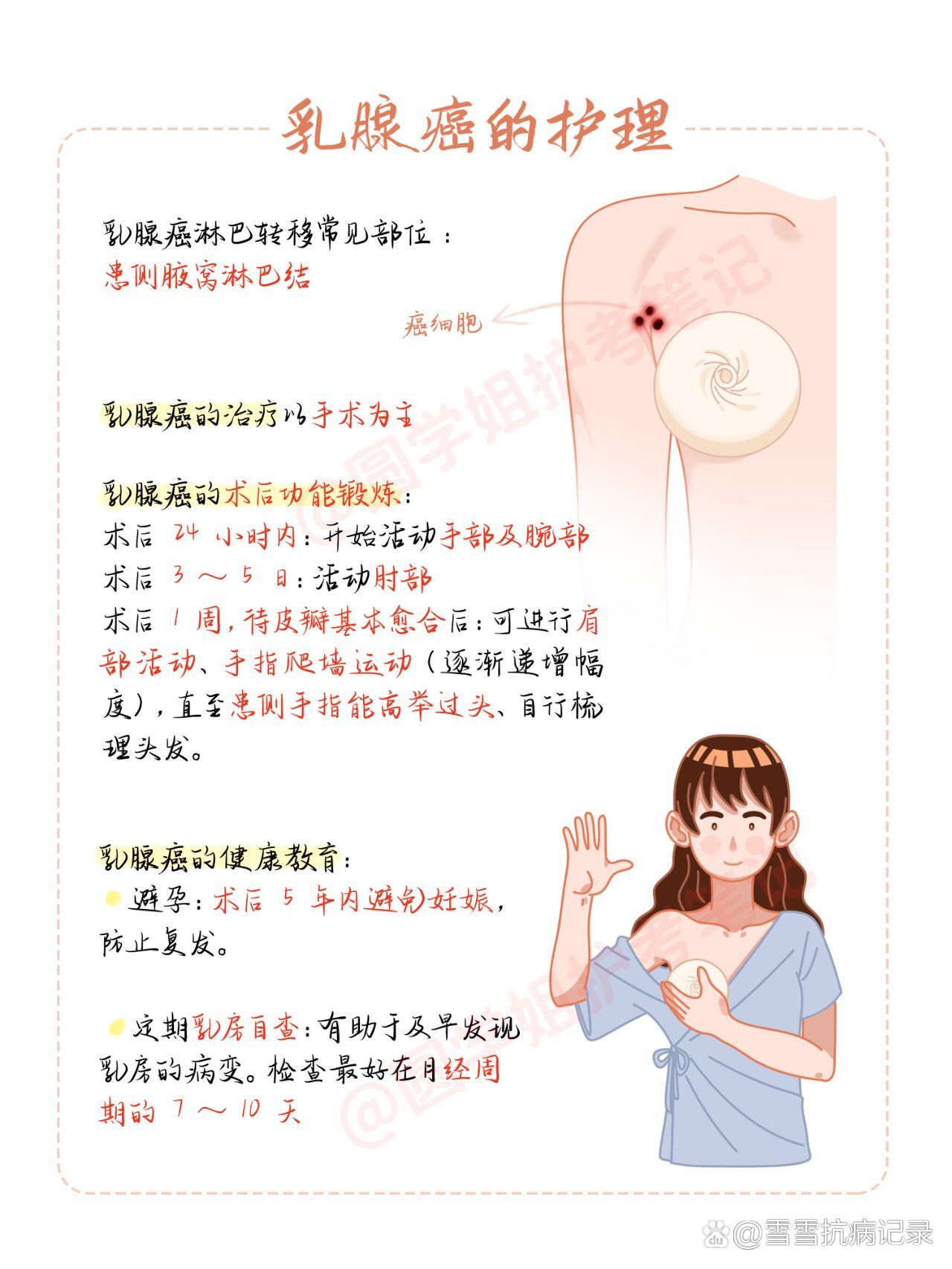 乳腺象限的划分图图片