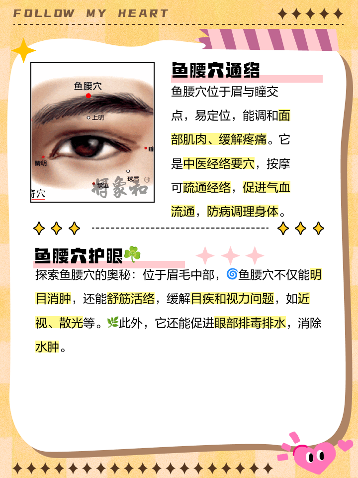 鱼腰的位置与作用和功效