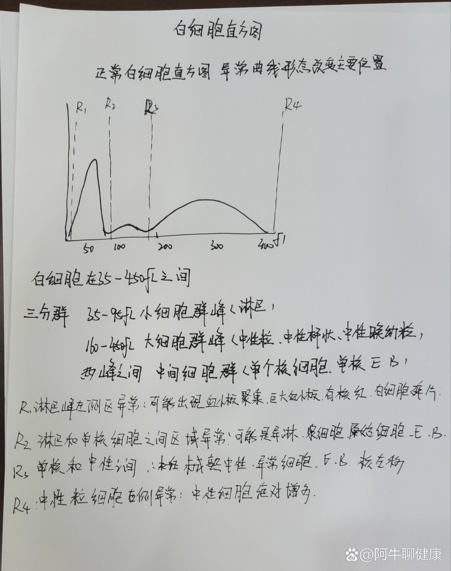 白细胞直方图怎么看图片