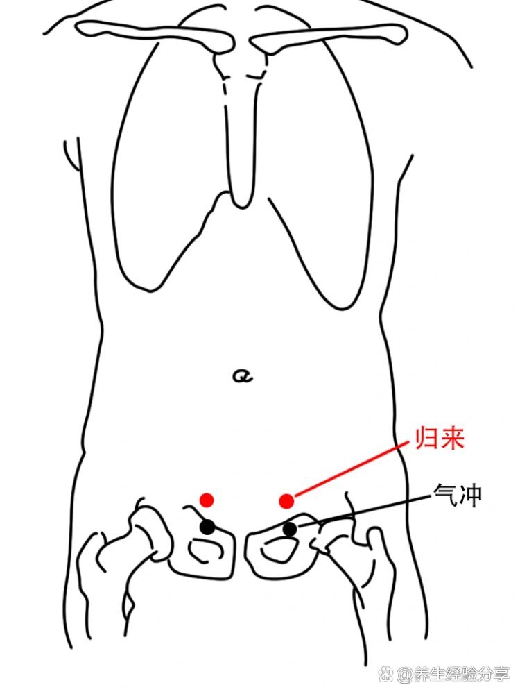 归来位置图片