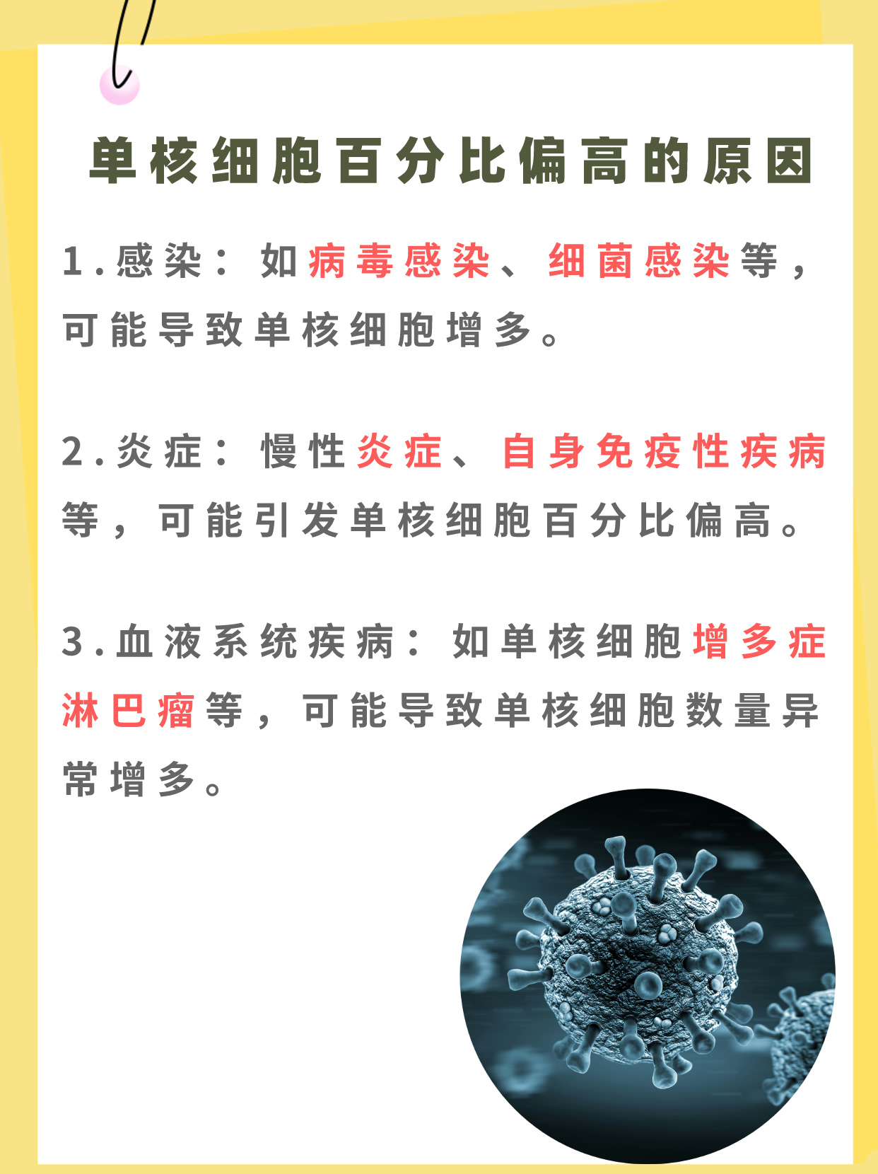 单核细胞百分比偏高:潜在的健康警示
