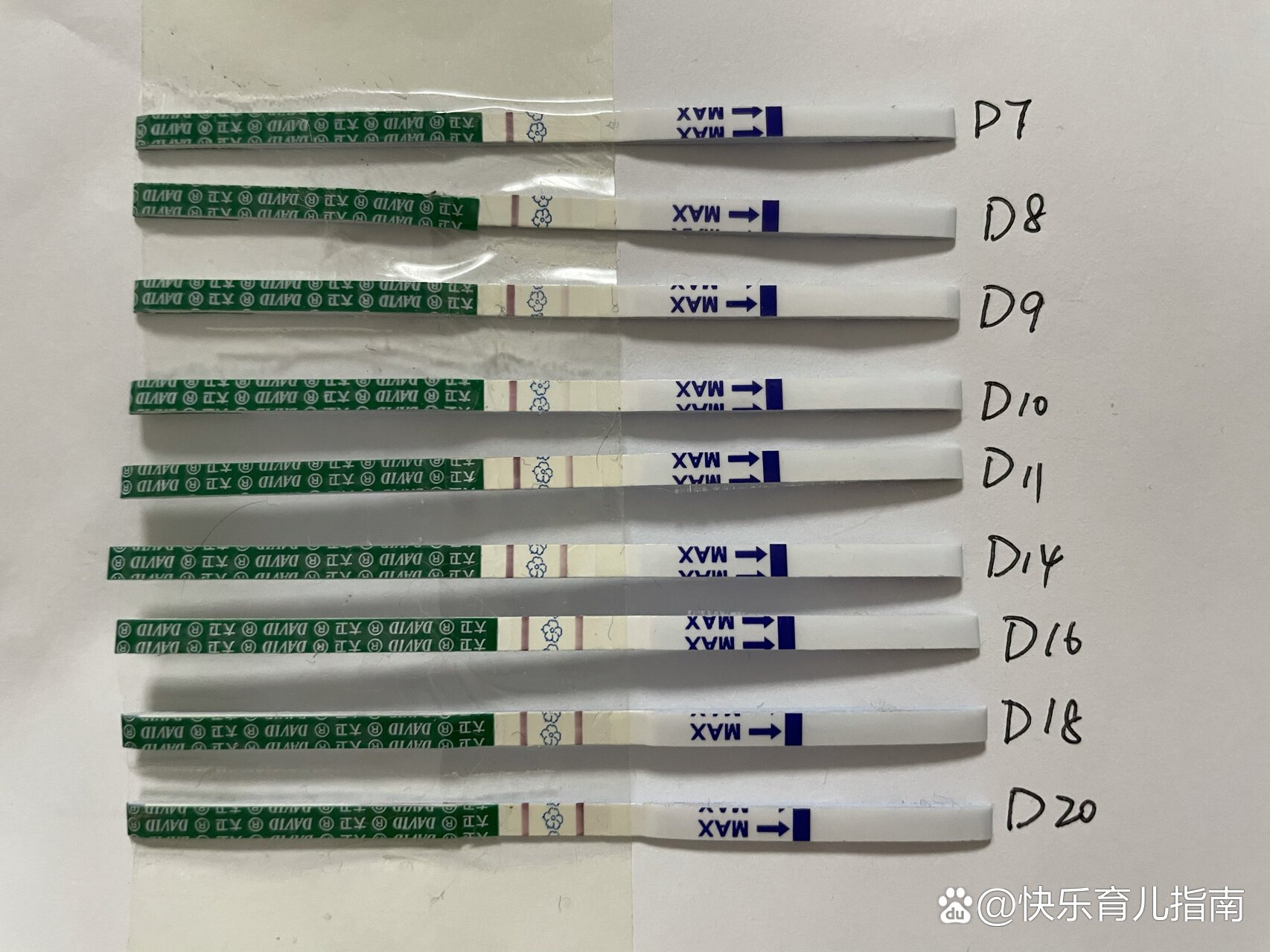 怀孕20天试纸图片图片