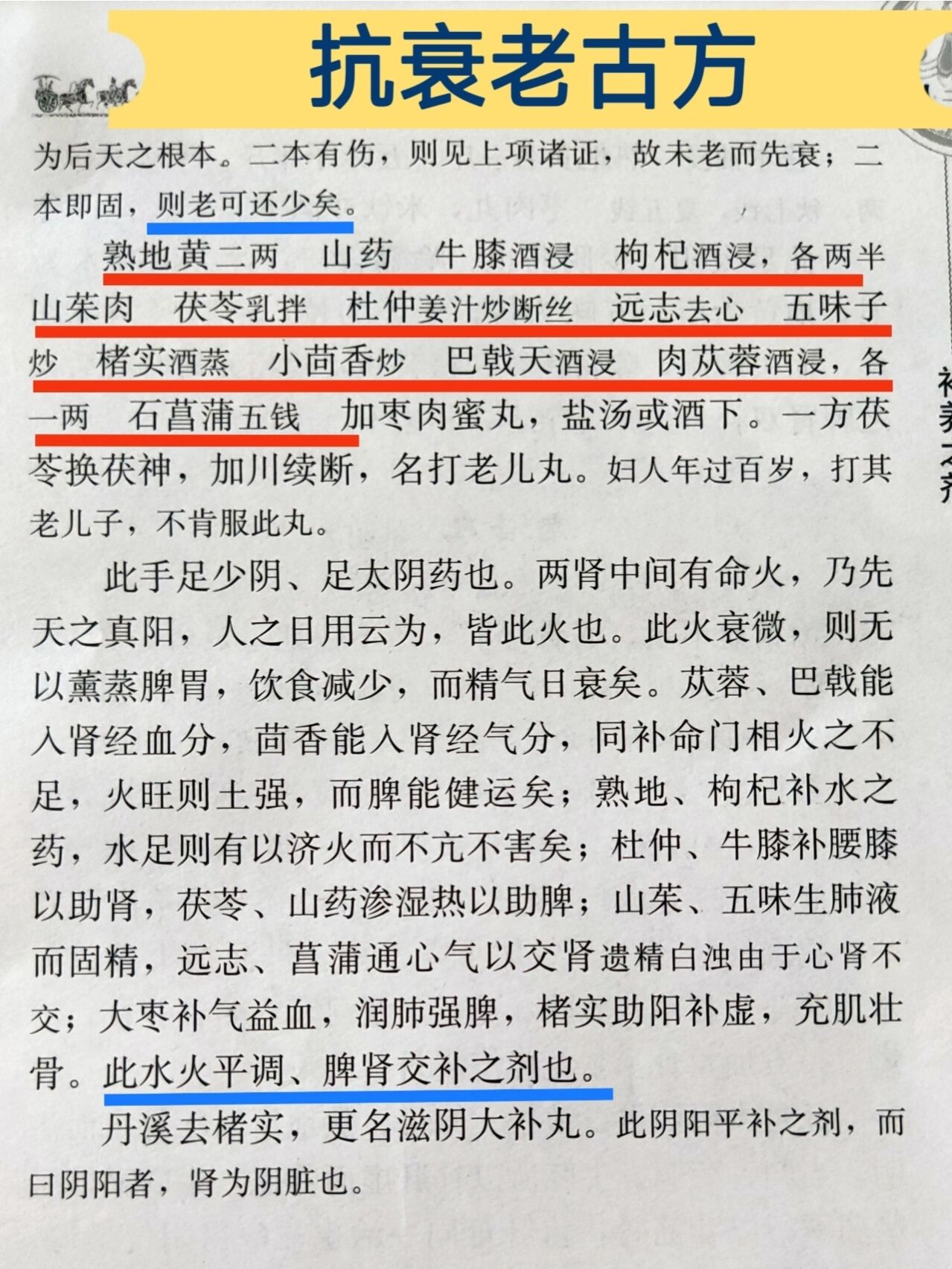 抗衰老之千古名方:还少丹