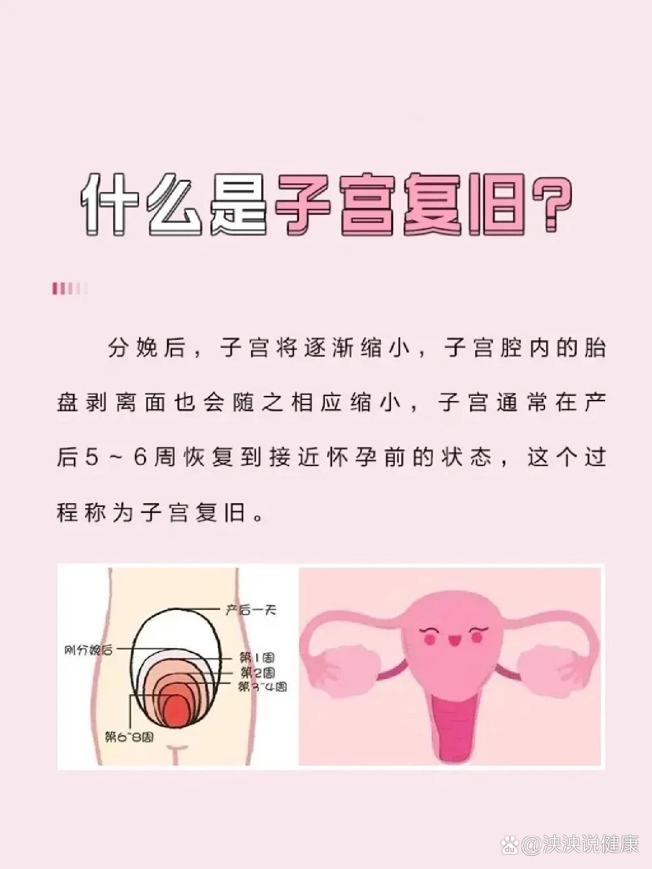 子宫缩复环图片图片