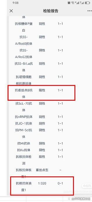 抗着丝点b抗体,阳性,抗核抗体检测阳性