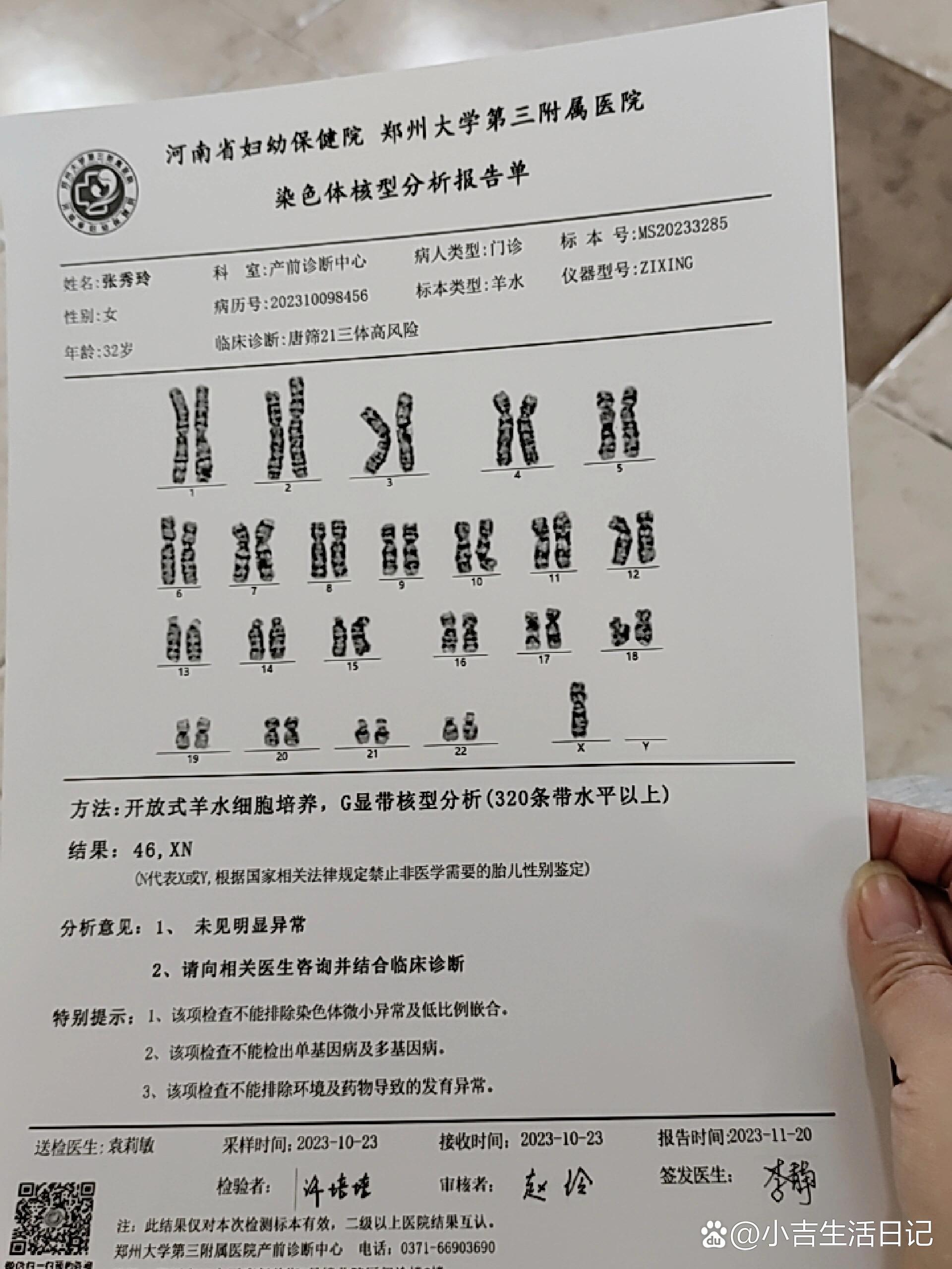 胚胎染色体报告图片