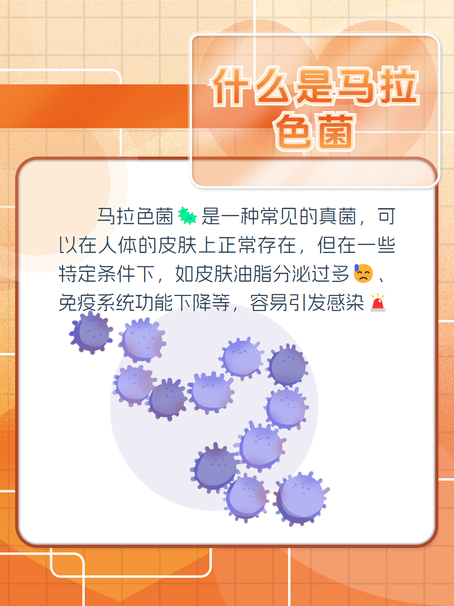 马拉色菌:能感染人类的神秘真菌?