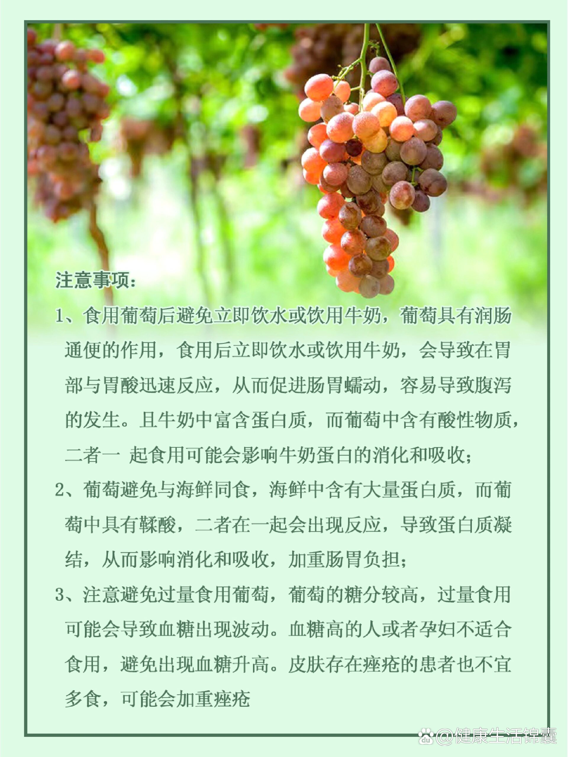 吃葡萄的禁忌与作用