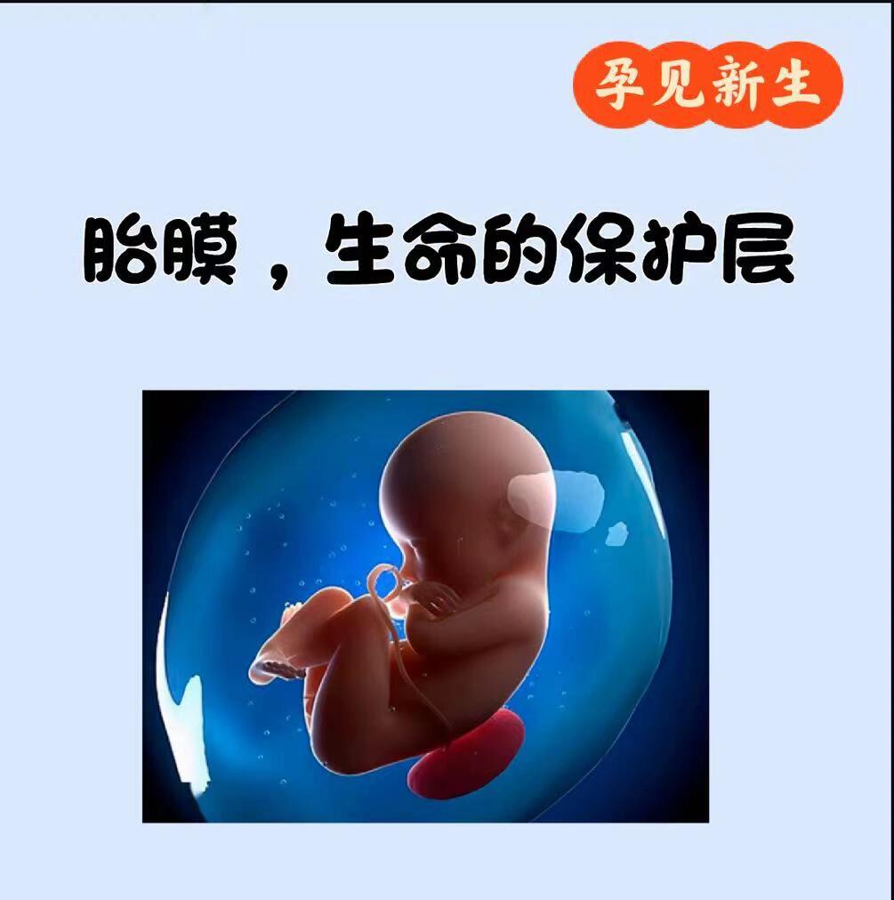 胎膜?