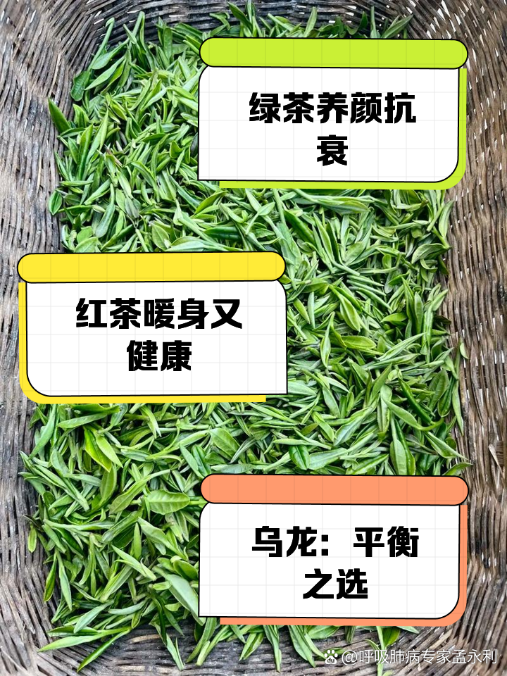 各种茶的作用与功效