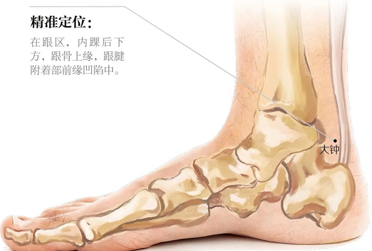 大钟穴详解：取穴功效与疗法