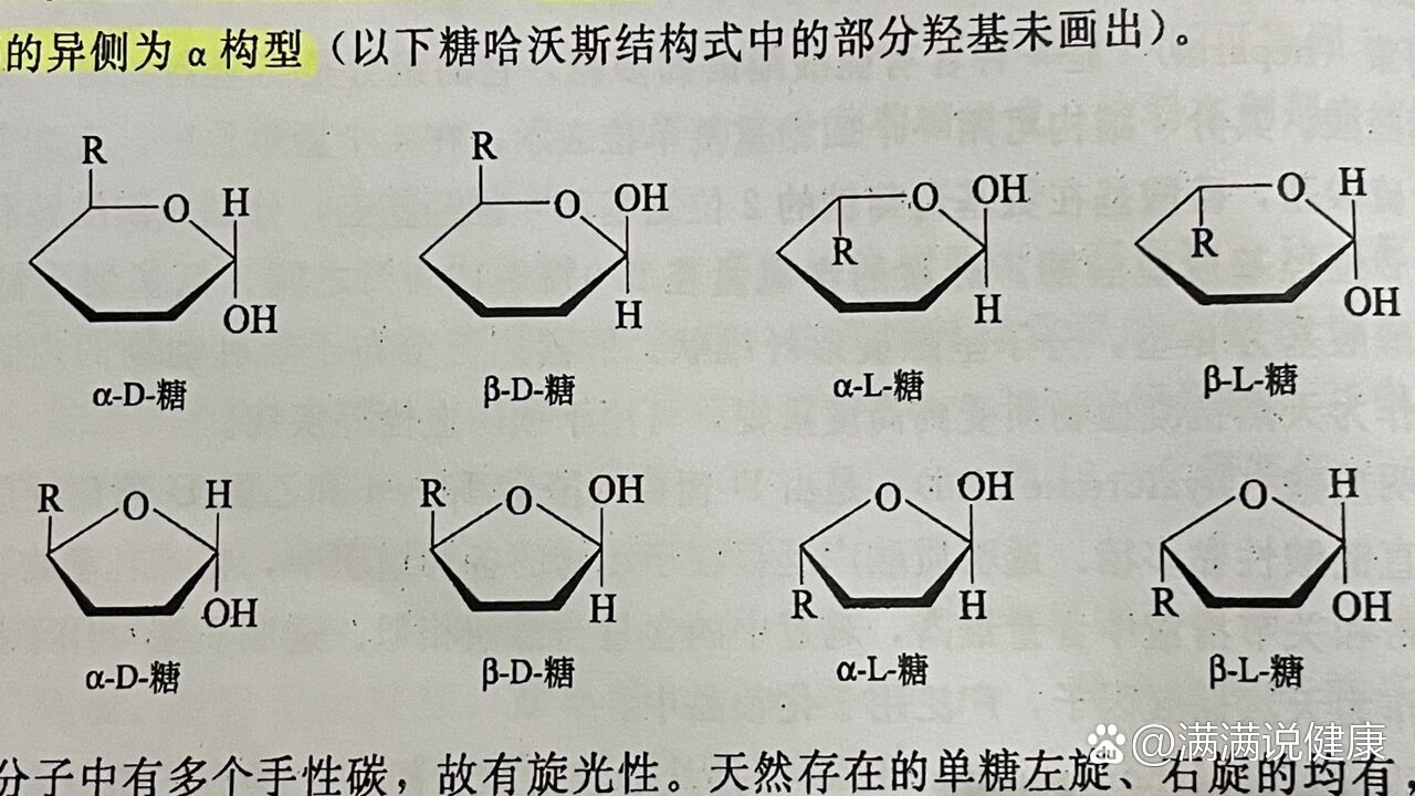 六碳糖结构图图片