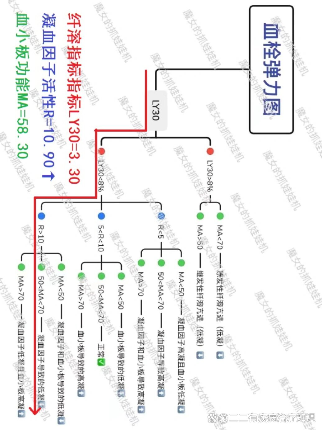 查血栓弹力图的意义图片