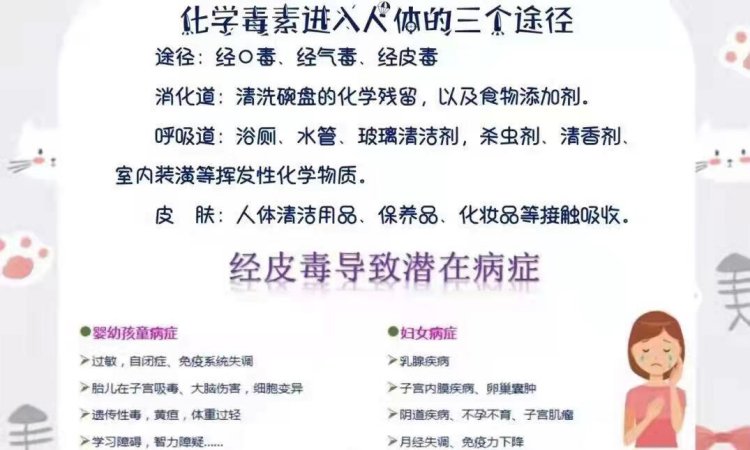 经皮毒