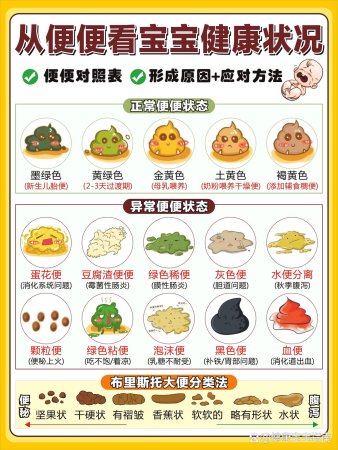 宝宝便便解读