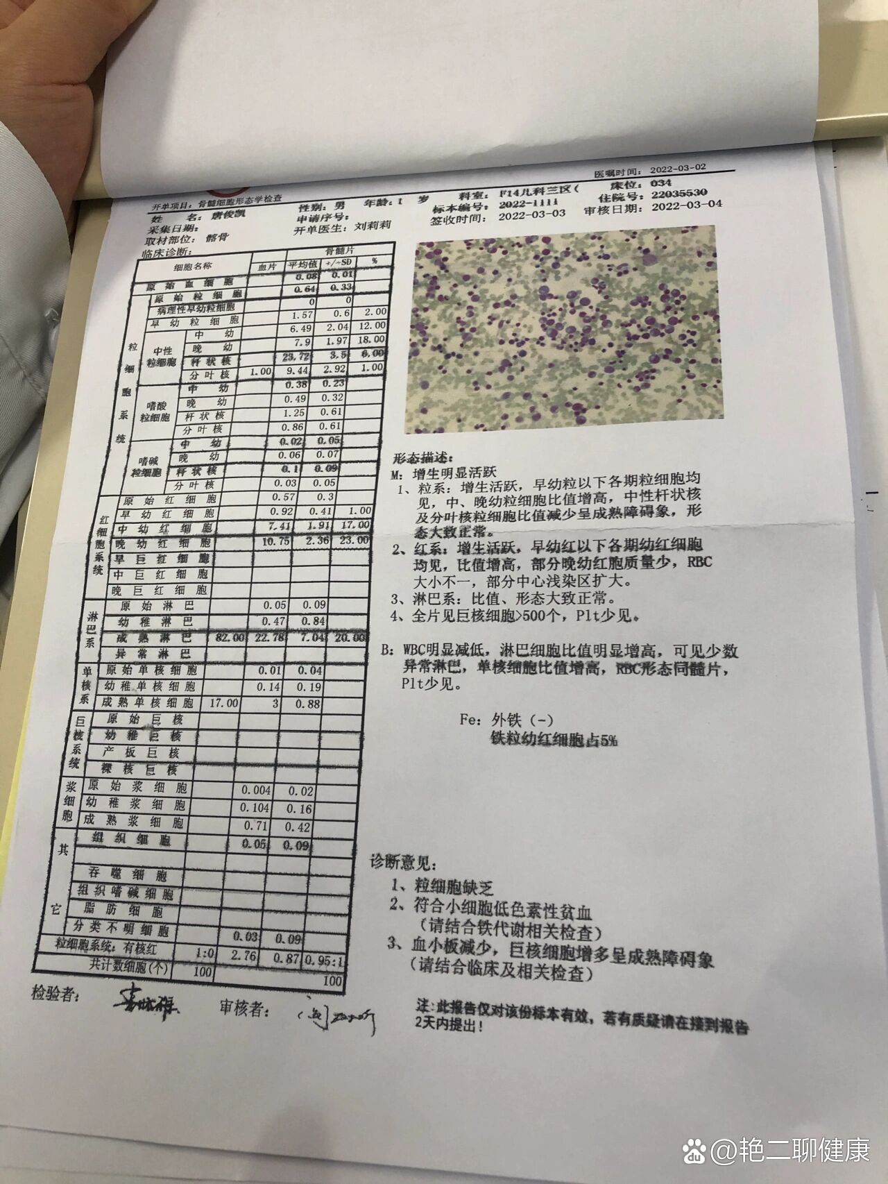 骨穿报告图片