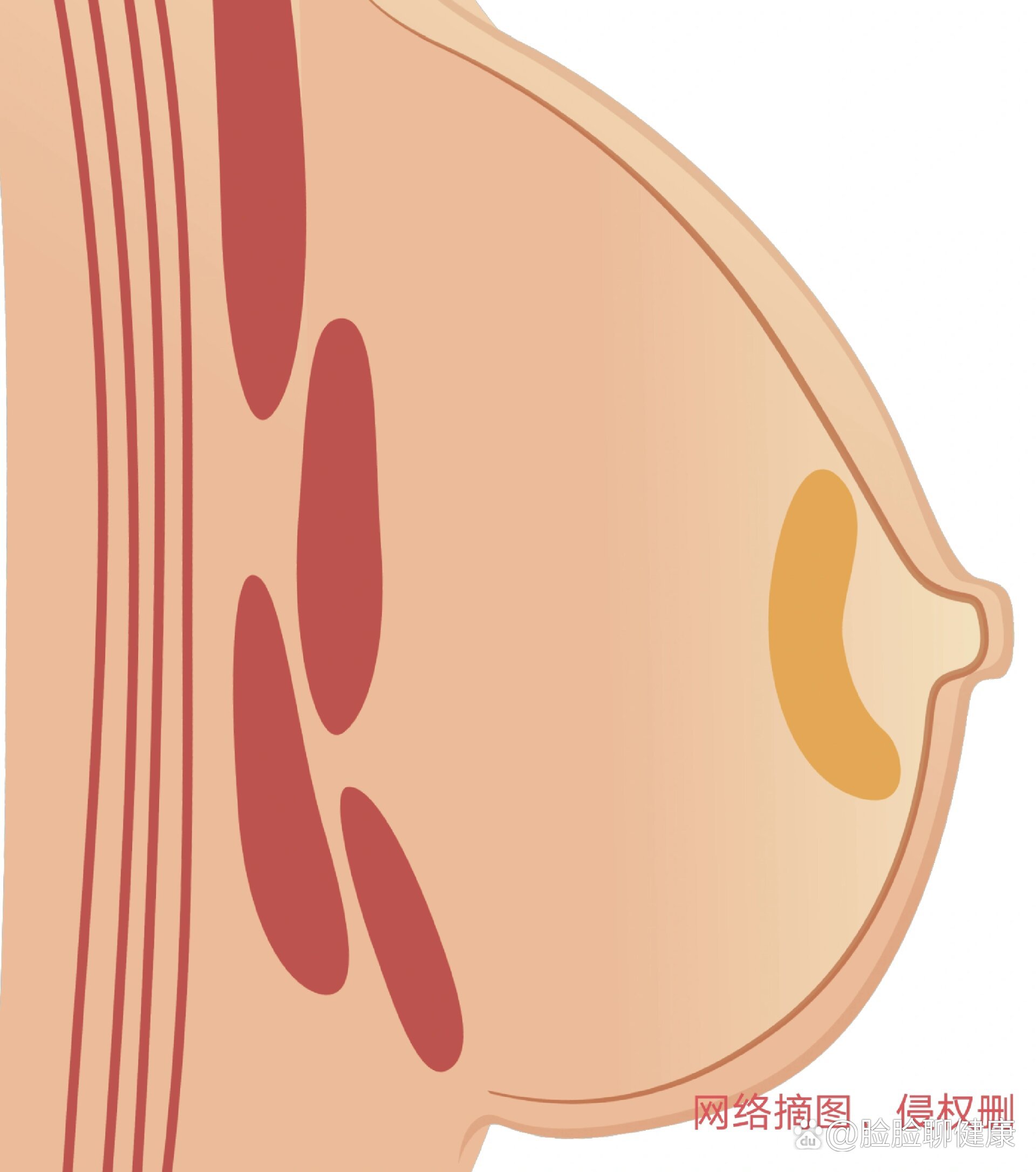 解决乳头白点导致乳腺硬块不痛的方法