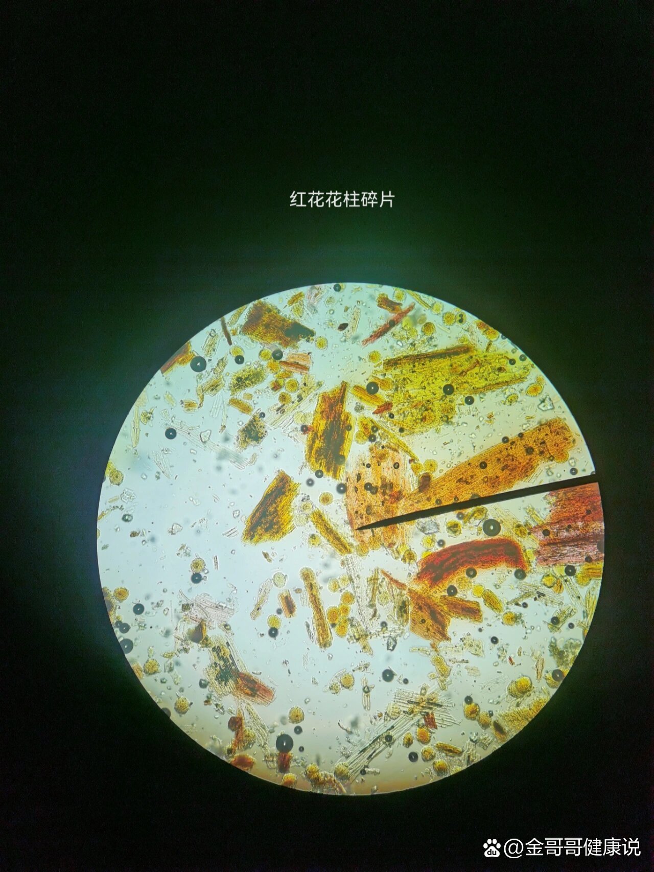 今天的日常是红花粉末特征,还是挺好看哒
