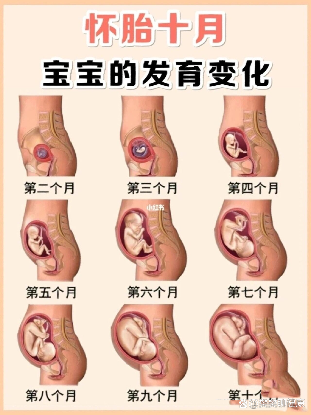 孕16周妈妈的变化你知道?