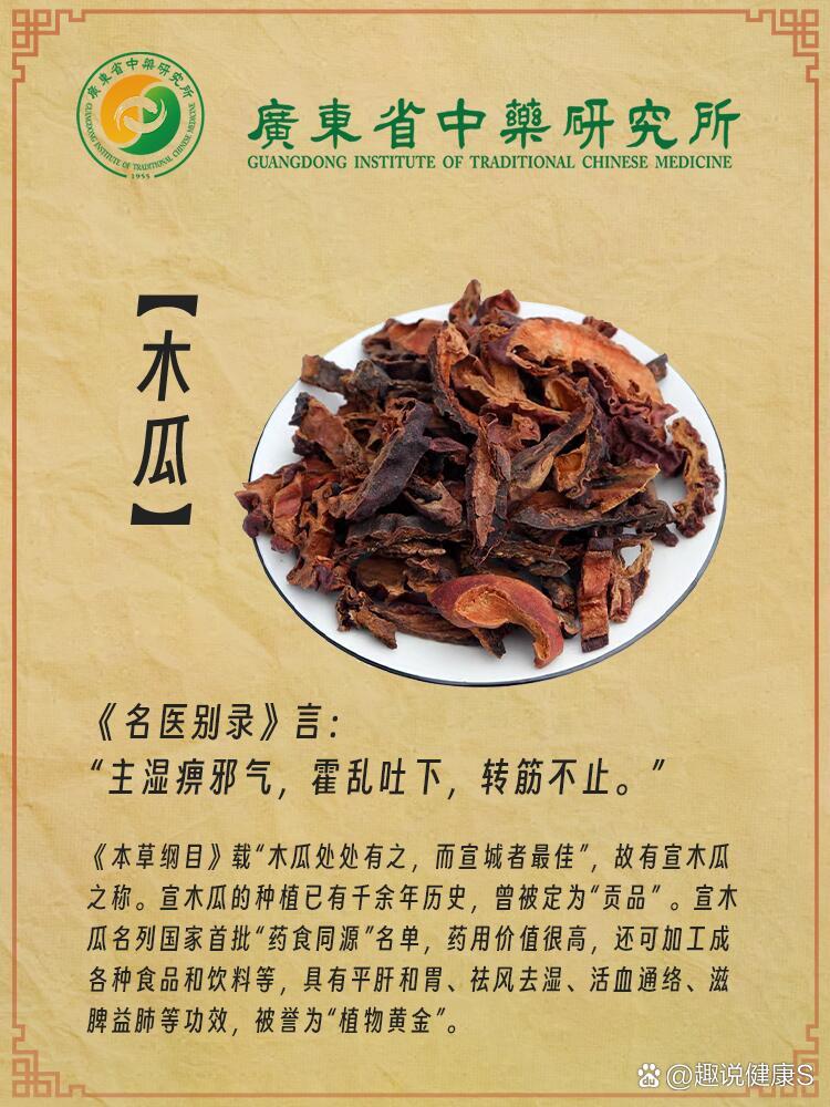 🌿广东省中药研究所中药每日科普