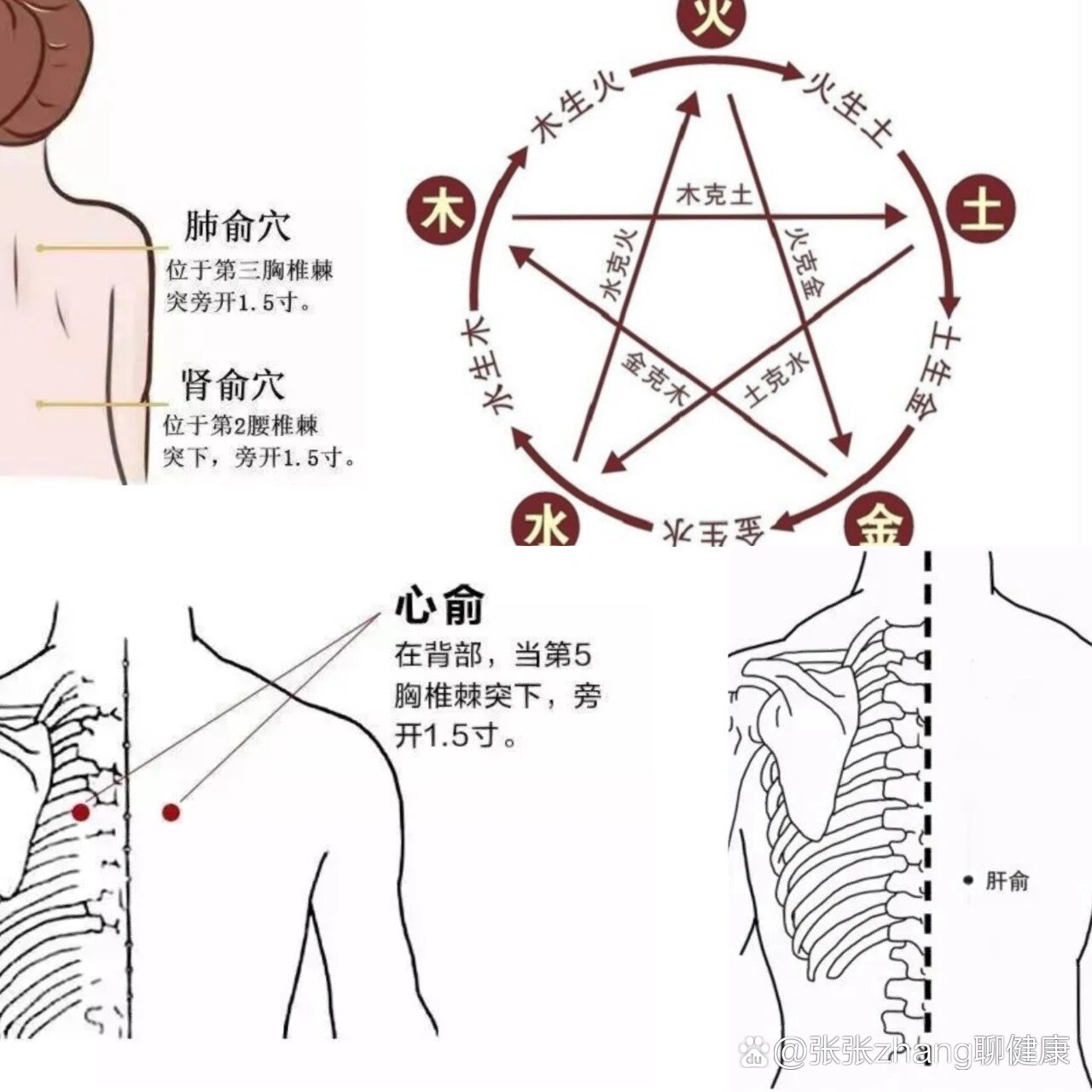 心俞穴,肺俞穴,肝俞穴