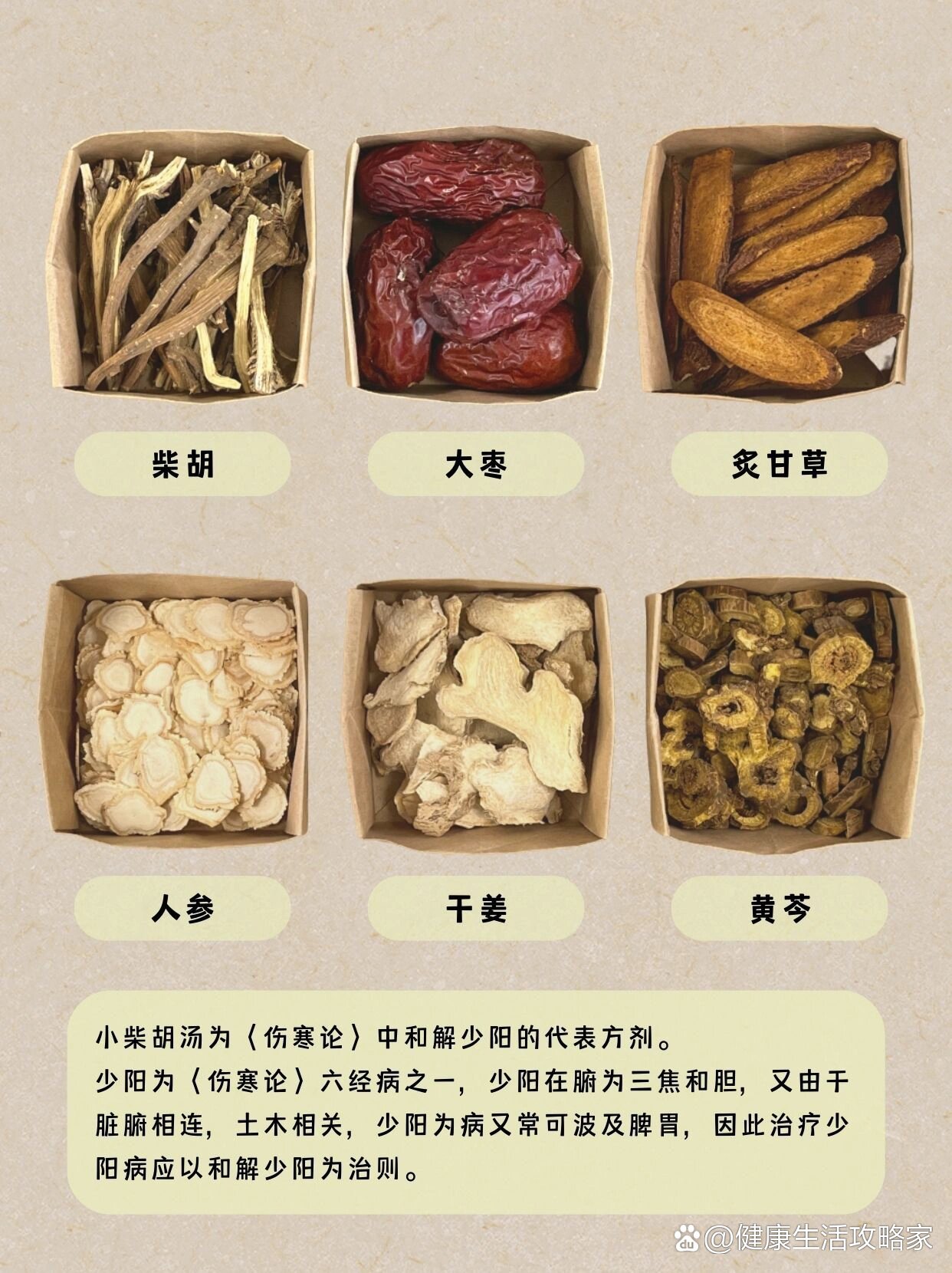 中医名方(6)小柴胡汤