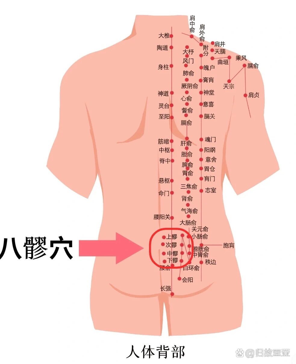 八髎的准确位置图尺寸图片