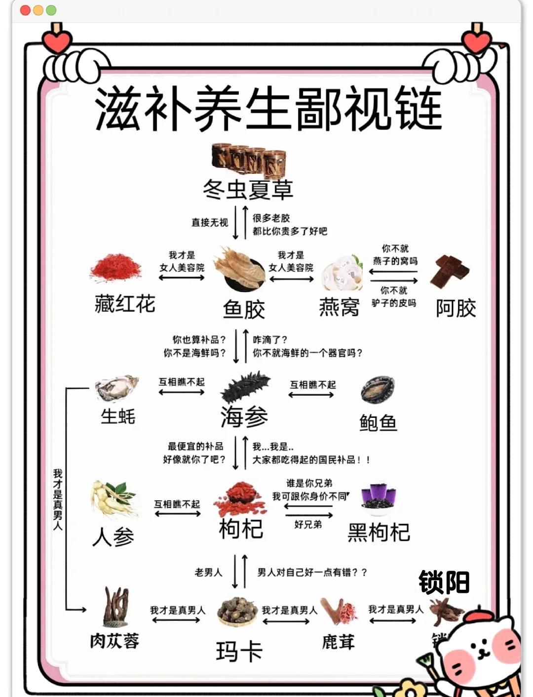 养生圈鄙视链！