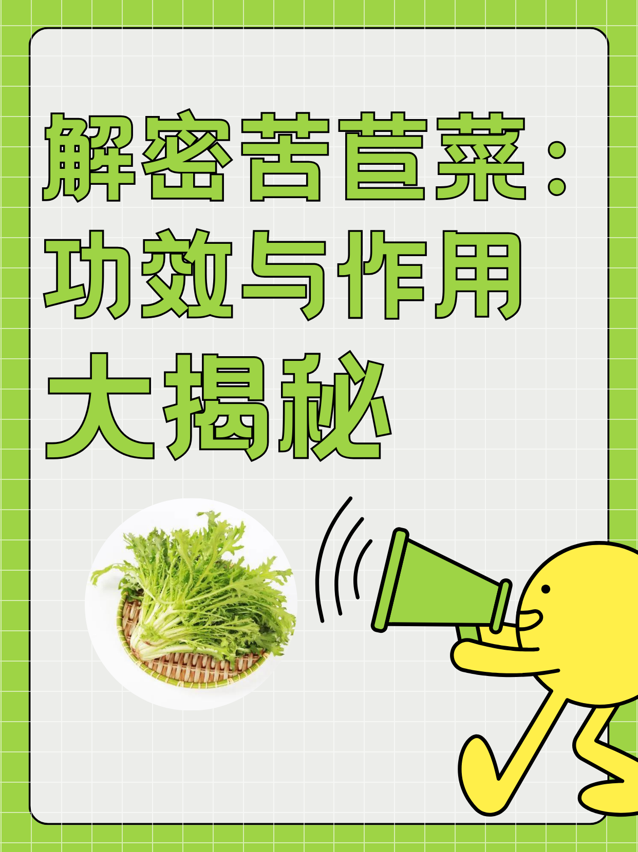 苦苣菜的功效图片