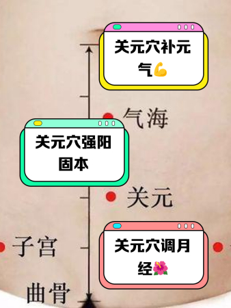 关元位置图和作用功效