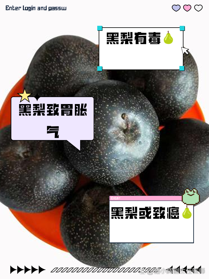 黑梨的毒性有多大
