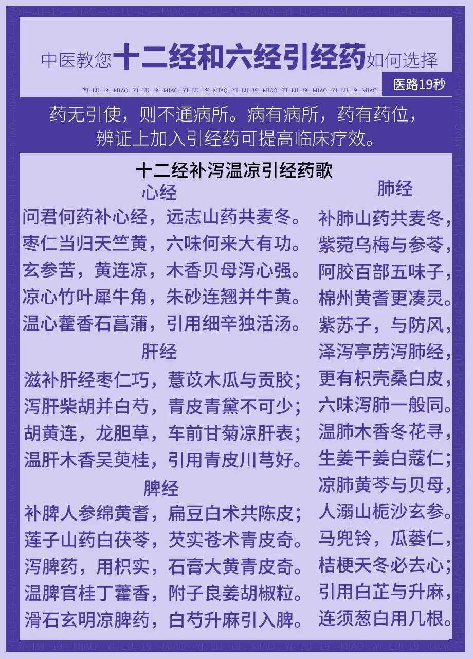 十二经引经药歌诀